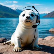 «НОФЕЛЕТ» - любительское соревнование по спортивному ориентированию «НОФЕЛЕТ» - любительское соревнование по спортивному ориентированию