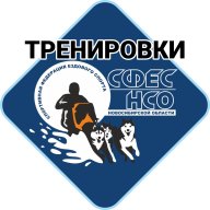 Тренировка Тренировка