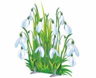 Первенство городского округа город Рыбинск по спортивному ориентированию "Подснежник" Первенство городского округа город Рыбинск по спортивному ориентированию "Подснежник"