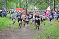 49-й Новосибирский легкоатлетический пробег памяти В.Рыцарева