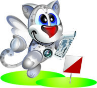 Фестиваль ветеранов спортивного ориентирования Хабаровского края Фестиваль ветеранов спортивного ориентирования Хабаровского края