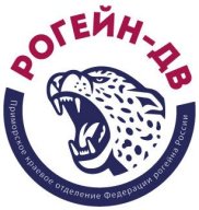 Ночной командный рогейн "Филин-8"