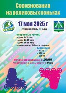 Соревнования на роликовых коньках Соревнования на роликовых коньках