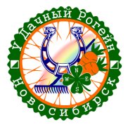 УДачный рогейн 2025 УДачный рогейн 2025