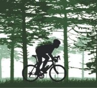 Чемпионат и Первенство Алтайского края по спортивному ориентированию. Велокроссовые дисциплины Чемпионат и Первенство Алтайского края по спортивному ориентированию. Велокроссовые дисциплины