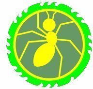 ХСО -Муравейник 2025 "Золотая осень" ХСО -Муравейник 2025 "Золотая осень"