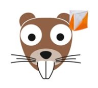 Открытые массовые соревнования "Реальные бобры" - 2025