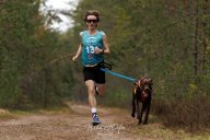 Чемпионат Калининградской области по ездовому спорту в дисциплине кросс 1 собака Чемпионат Калининградской области по ездовому спорту в дисциплине кросс 1 собака