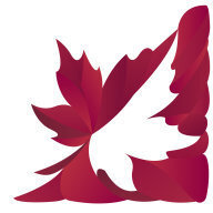 Краевые спортивные соревнования по спортивному ориентированию "Приз Г.А. Коскинина 2025"