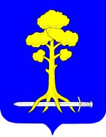 Чемпионат и Первенство МО Сертолово