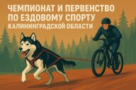 Чемпионат и Первенство Калининградской области по ездовому спорту Чемпионат и Первенство Калининградской области по ездовому спорту