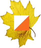 Соревнования по спортивному ориентированию среди школьников УНО г.Бендеры