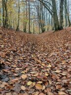 Первый этап зимнего кубка Калининграда по велоспорту Первый этап зимнего кубка Калининграда по велоспорту