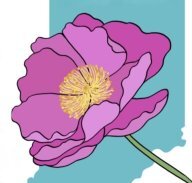 Трейл «Дикие пионы» Трейл «Дикие пионы»