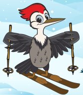 Фестиваль Зимние фонтаны 2026