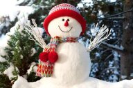 Зимний Кубок Астраханской области по спортивному ориентированию «Снеговик 2025»