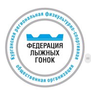 "Новогодняя гонка Курганской области - 2026"