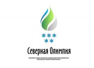 Новогодняя ночная гонка Новогодняя ночная гонка