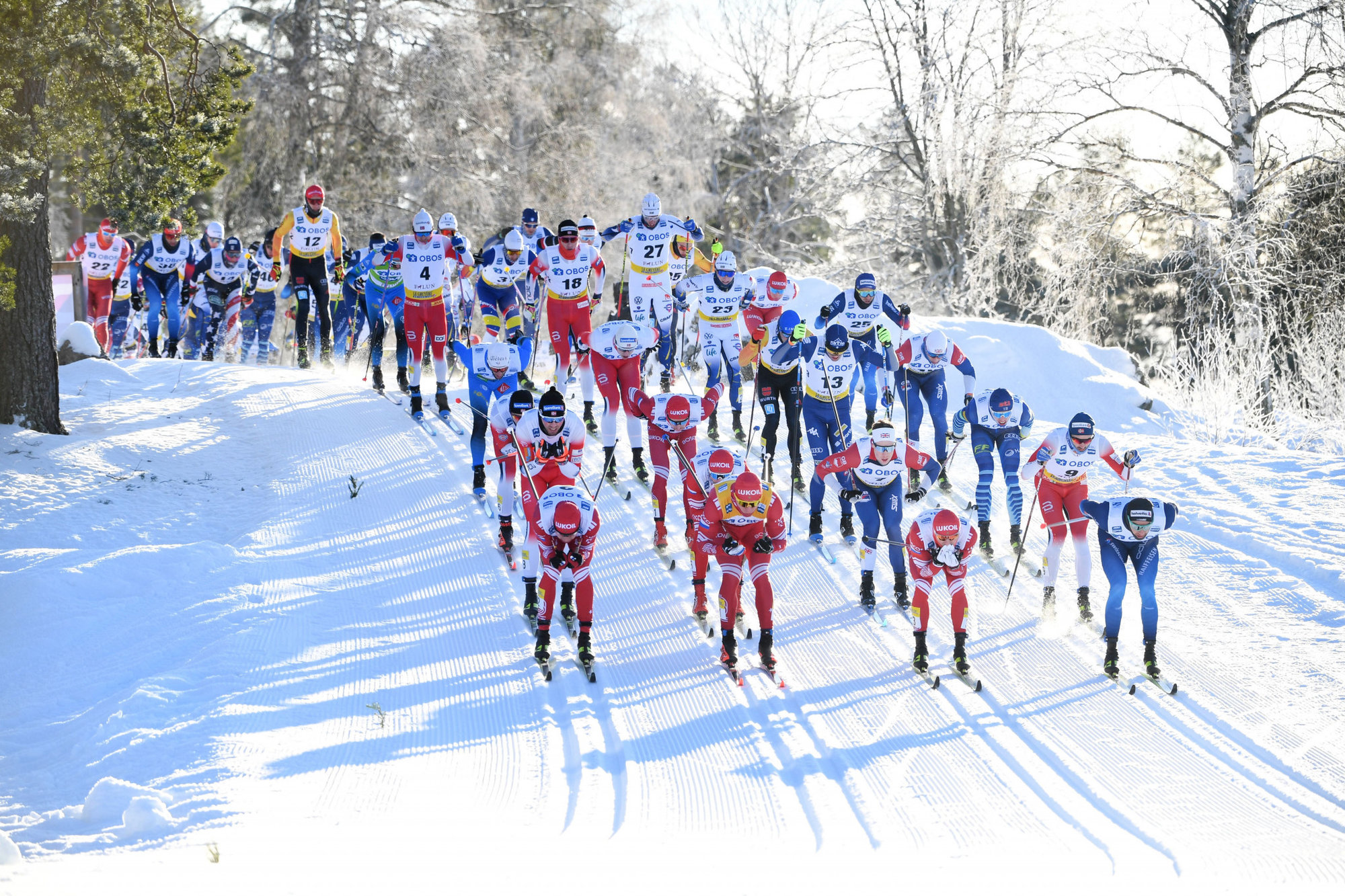 Виды гонок на лыжах. Лыжные гонки. Спорт лыжные гонки. Лыжные соревнования. Лыжный спорт в России.
