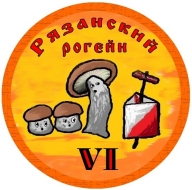 VI Рязанский рогейн