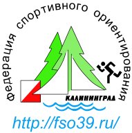 Открытое первенство Багратионовского ГО