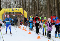 Чемпионат и первенство Костромской области по спортивному ориентированию