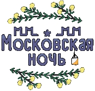 "Московская ночь" - 8й этап кубка "Золотой Маршрут"